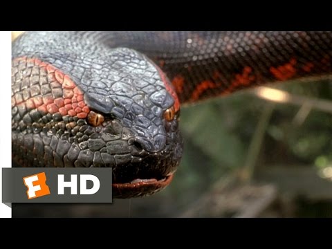 Anaconda (8/8) Movie CLIP – Swallowed Whole (1997) HD