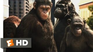 Rise of the Planet of the Apes (2011) – Attack on San Francisco Scene (3/5) | Movieclips
