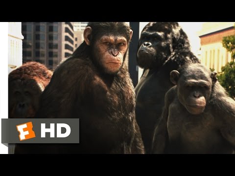 Rise of the Planet of the Apes (2011) – Attack on San Francisco Scene (3/5) | Movieclips