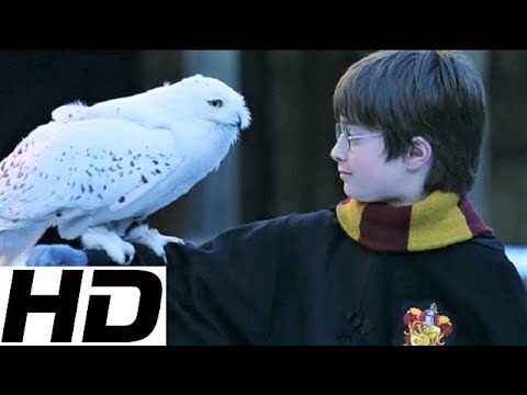 Harry Potter Theme • Harry's Wondrous World • John Williams