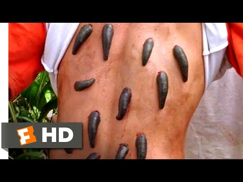 Anacondas 2 (2004) – Bloodsucking Leeches Scene (2/10) | Movieclips