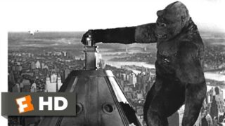 King Kong (1933) – Beauty Killed the Beast Scene (10/10) | Movieclips
