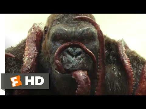 Kong: Skull Island (2017) – Kong vs. Giant Squid Scene (3/10) | Movieclips